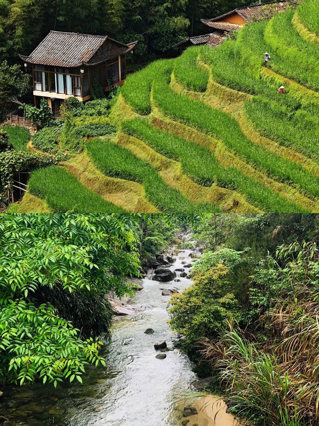 自然田園·上堡梯田