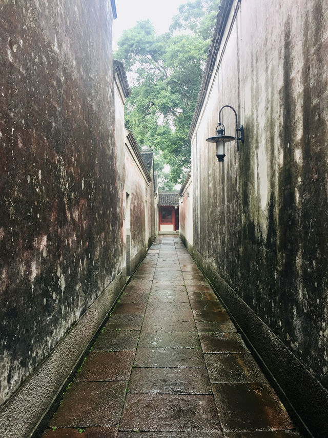 千年古縣城，慈城年糕被央視夸讚