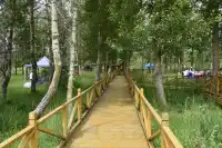 鹞子沟的故事。