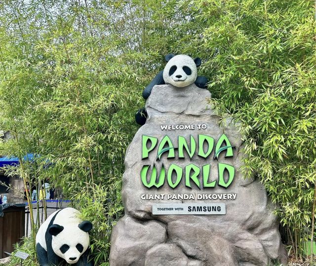 愛寶樂園，你可以永遠相信魔法，韓國遊玩
