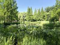 濟南森林公園