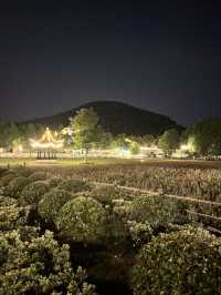 夜遊南京不老村！風景真美！氣候宜人！