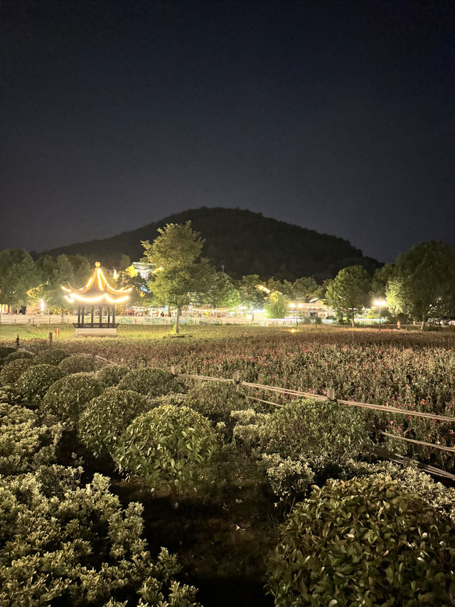 夜遊南京不老村！風景真美！氣候宜人！