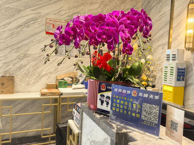 懿庭臻舍南鑼鼓巷店，住在京韻四合院
