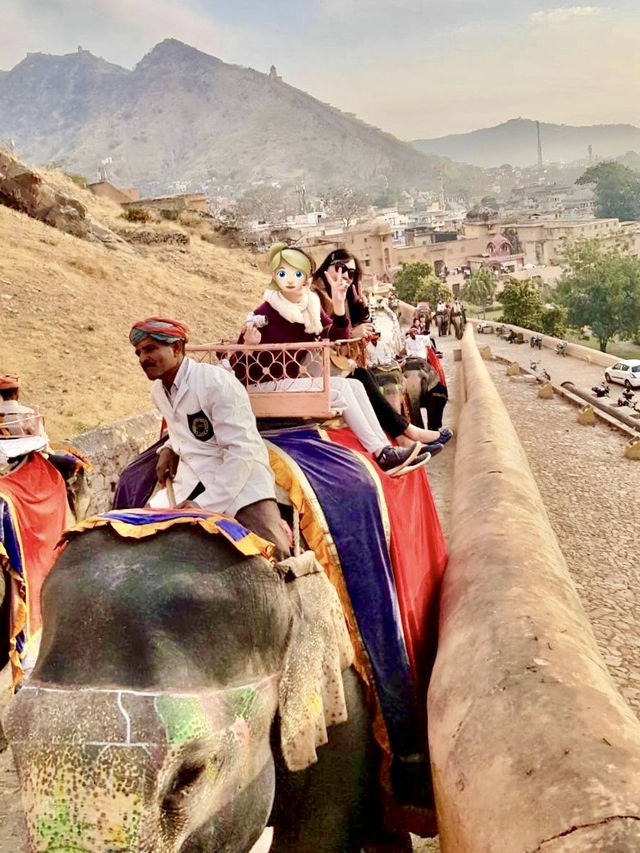 🇮🇳琥珀堡｜騎大象上山，這個城堡太大了！