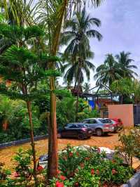 🌴✨ Goa's Candolim Charm: Top Hotel Pick! ✨🌴