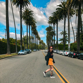 Palm Tree Lined Streets in Beverly Hills, LA 🇺🇸