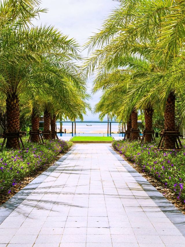 🌴 Phuket's Marriott Resort Oasis 🌞🌊