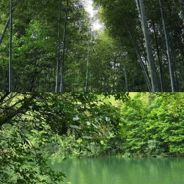 江蘇溧陽南山竹海，秘境之旅等你來