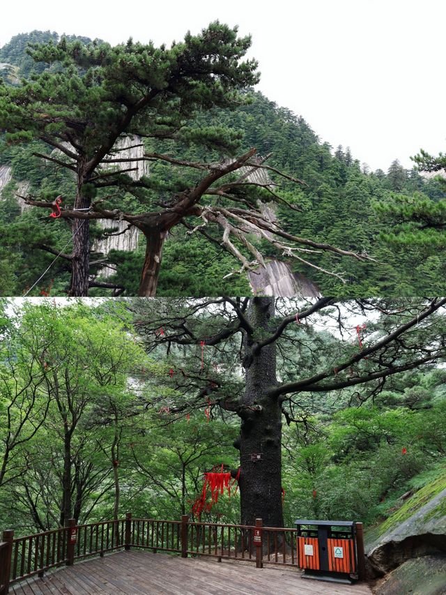 奇險華山存在感最低的山峰-中峰玉女峰