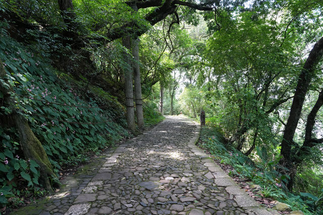 旅途中遇見的驚喜小城，玉溪通海