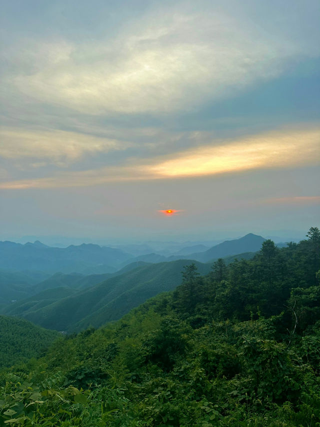 救命到底是谁说莫干山能避暑的