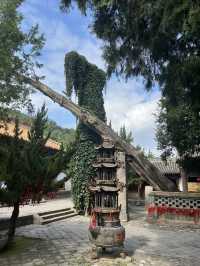 天水麻辣燙之行∣南郭寺，沒有南郭先生，卻有杜少陵