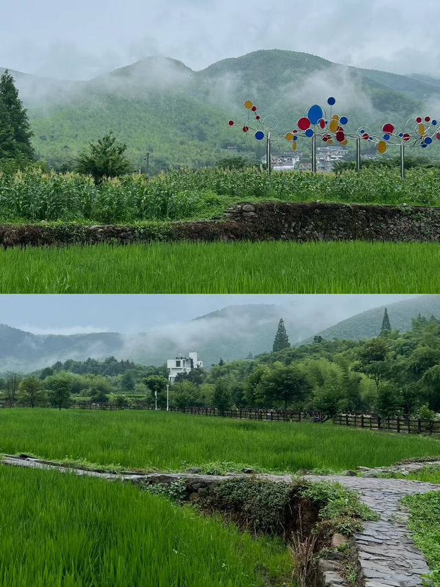 莫干山這條路線已經美到失語！人少景美好絕