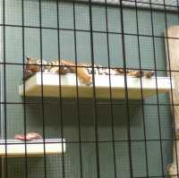 柏林動物園：舒適環境，開心遊動物園