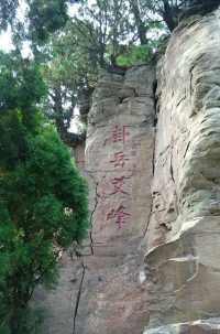 "卦山之柏，冠絕天下"，你怎麼看呢？