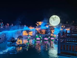 Changning Lotus Flower Travel Guide