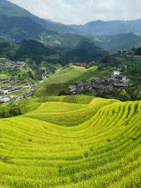 龍脊梯田——一個值得再訪的地方。