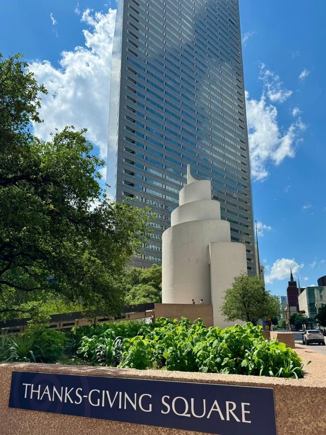 Dallas 達拉斯特種兵。