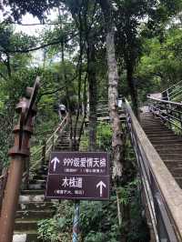 金子山徒步登山路線攻略，徒步愛好者必備！。