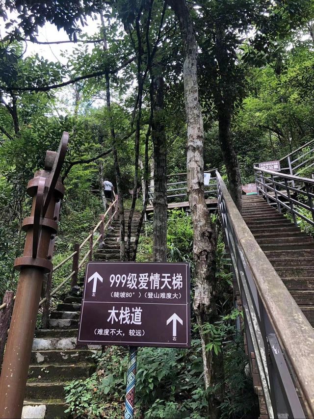 金子山徒步登山路線攻略，徒步愛好者必備！。