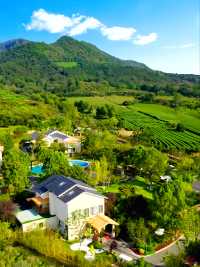 安吉靈峰度假區新寵帶您穿越至夢中江南水鄉🪴。