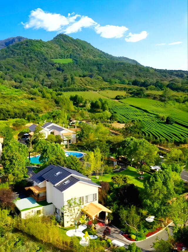 安吉靈峰度假區新寵帶您穿越至夢中江南水鄉🪴。 安吉靈峰度假區新寵帶您穿越至夢中江南水鄉🪴。