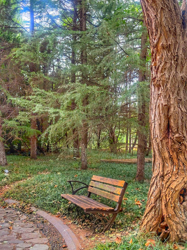 Qingdao’s Hidden Natural Beauty 🇨🇳🌿🌱