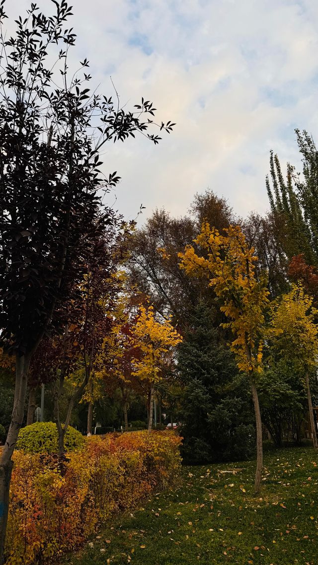 西寧市人民公園遊玩攻略 。