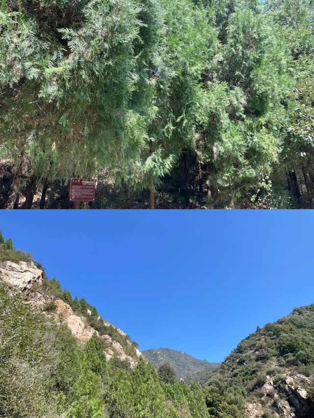 河南許昌大鴻寨 | 邂逅自然之美!!!。