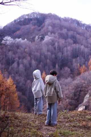 これが石家荘で無料で秋を楽しむ究極の場所です。