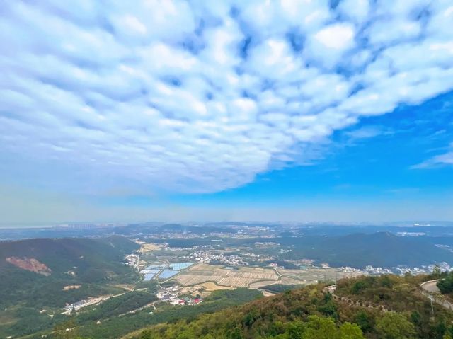 岳陽周邊登山寶典：家庭友好型路線揭秘與必知事項！。