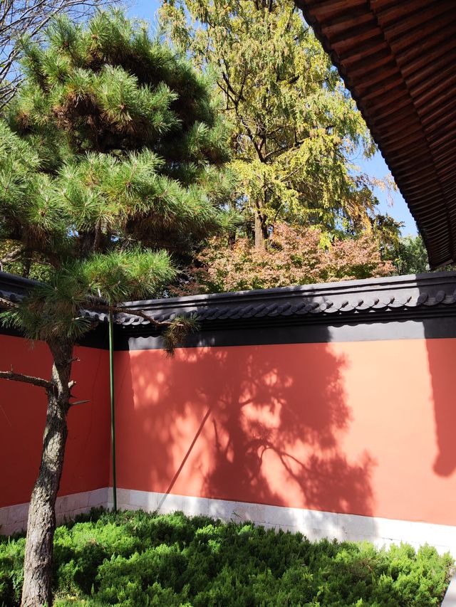 錢王陵墓。