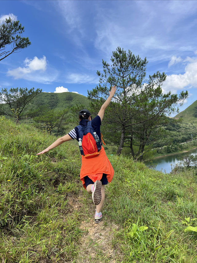 夏日避暑勝地邵陽城步南山牧場。