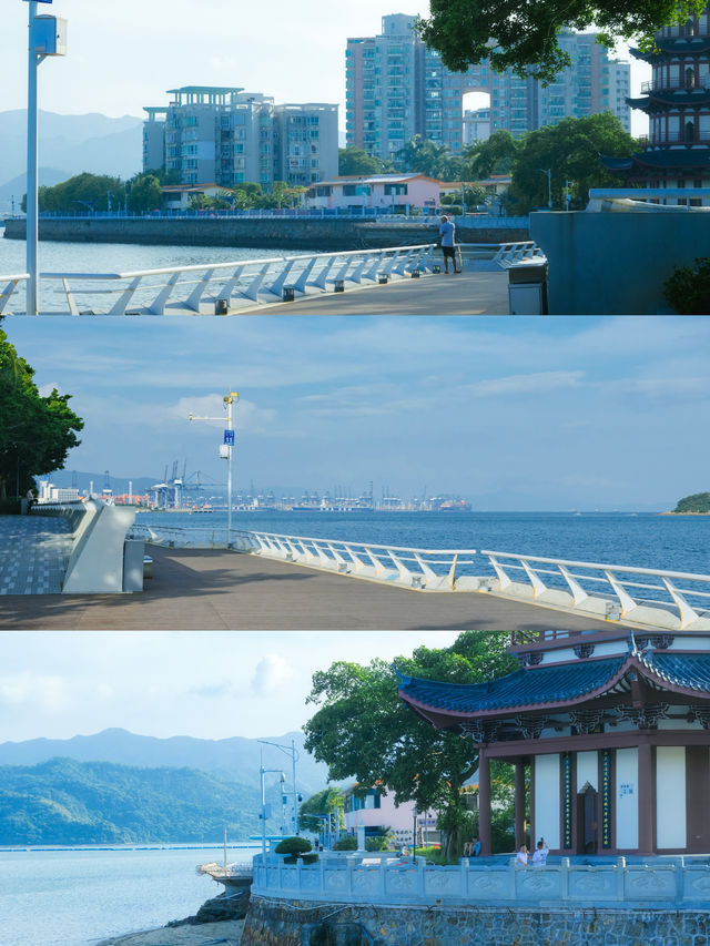 太酷啦趁著深圳夏季的尾巴去看10,000次海。