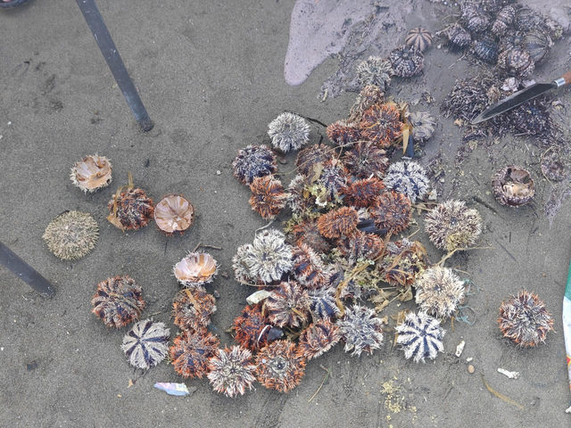 菲律賓小眾島嶼 Basco（巴坦島）旅遊攻略。