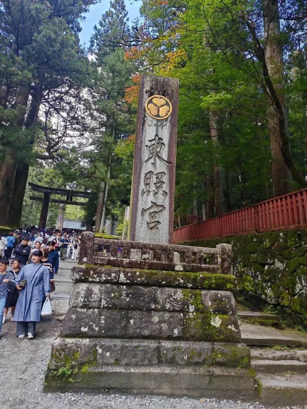 Travel Experience to Nikko's Toshogu Shrine on November 3rd