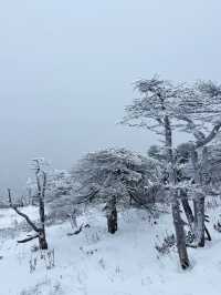 西安秦嶺東梁|雪後的東梁，如她的名字一樣別緻。