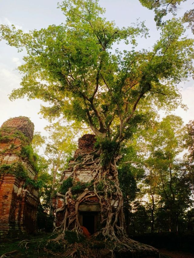 Prasat Pram: In The Possession of Jungle