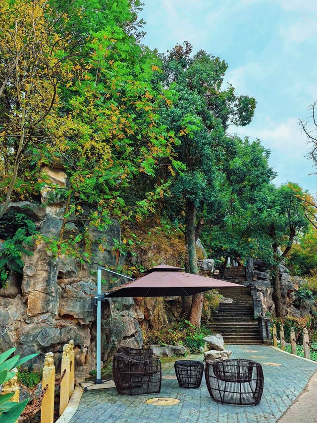 小眾且免費的絕美秋景，務必要來樸園瞧瞧！||。