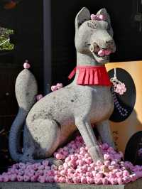 Visit Inuyama Castle during Cherry Blossom Season