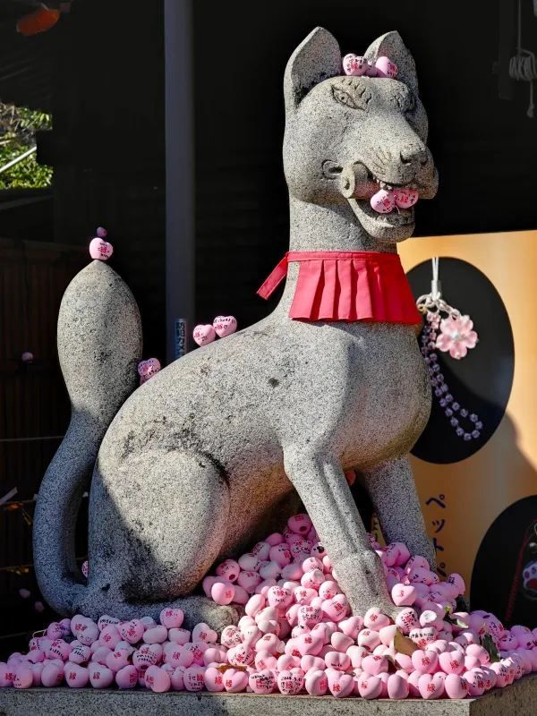 Visit Inuyama Castle during Cherry Blossom Season