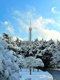大連初雪絕美 勞動公園張張封神！