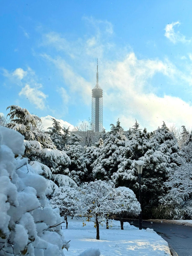 大連初雪絕美 勞動公園張張封神！