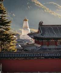 五台山來過了，願今後心之所念，皆能如願。