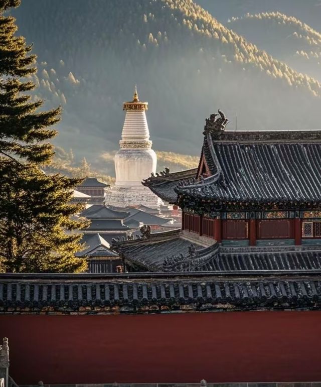 五台山來過了，願今後心之所念，皆能如願。