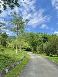 廣州增城區太子坑森林公園|這觀賞日落勝地你不會還不知道吧。