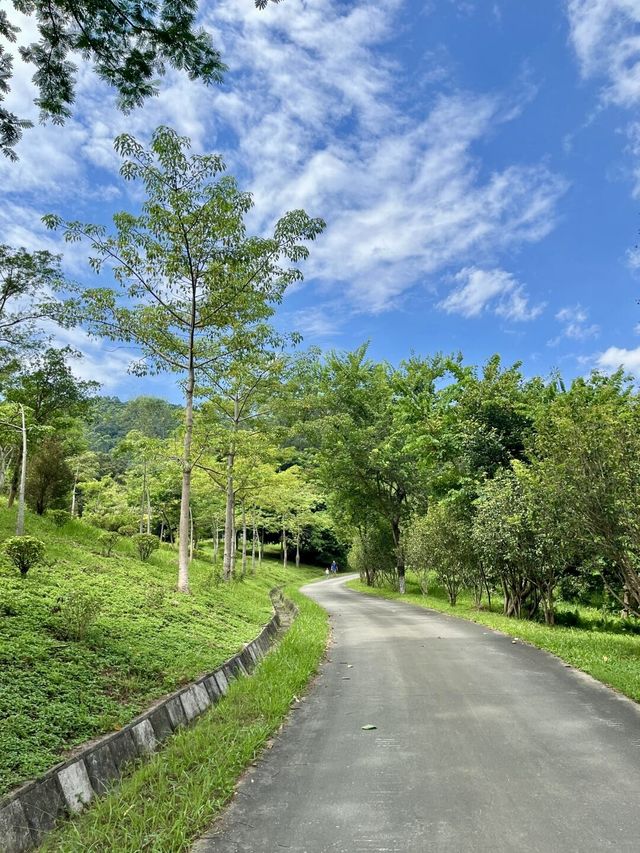 廣州增城區太子坑森林公園|這觀賞日落勝地你不會還不知道吧。
