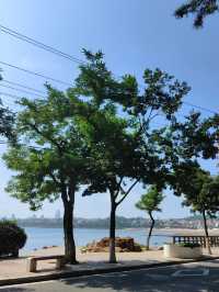 青島-曲阜-泰安6日遊 超詳細攻略玩轉三城不踩雷。