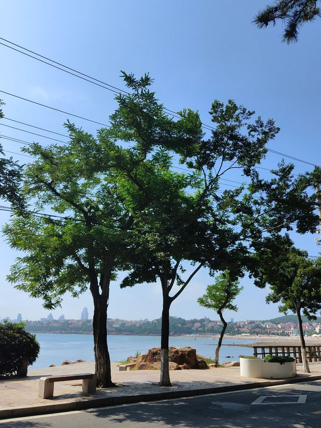 青島-曲阜-泰安6日遊 超詳細攻略玩轉三城不踩雷。
